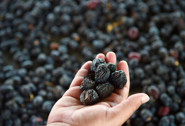 dates wholesaler